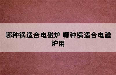 哪种锅适合电磁炉 哪种锅适合电磁炉用